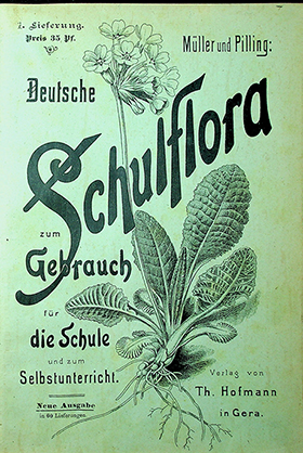 Muller u. Pilling. Deutsche Schulflora / hrsg. von Muller u Pilling. – Gera: Verlag von Theodor Hofmann, 1894. – [VIII], 240S. mit Abb. in feinstem Farbendruck